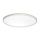 Prezent 27306 - LED Kupaonska stropna svjetiljka CORDIA LED/18W/230V 3000/6000K IP54 bijela