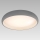 Prezent 45136 - LED Stropna svjetiljka TARI 1xLED/22W/230V siva