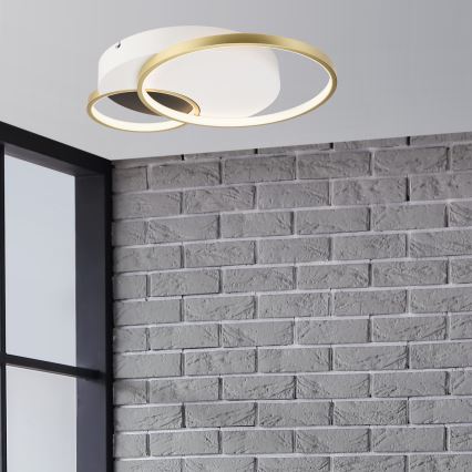 Prigušiva stropna svjetiljka BENITO LED/31W/230V 3000-6500K bijela/zlatna