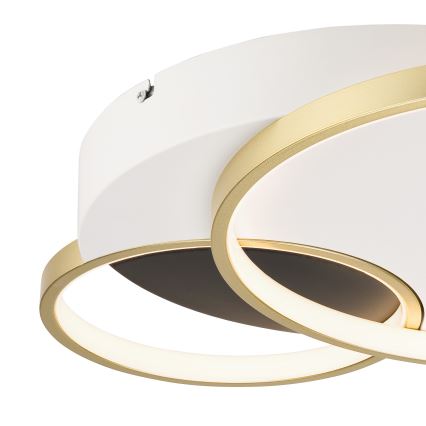 Prigušiva stropna svjetiljka BENITO LED/31W/230V 3000-6500K bijela/zlatna