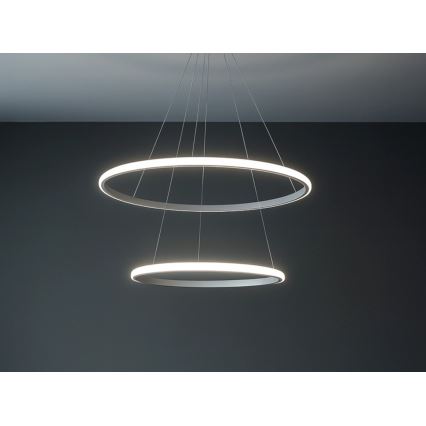 LED prigušivi luster na sajli LED/55W/230V 3000-6500K Ø 60 cm + daljinski upravljač