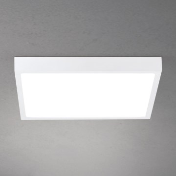 Prigušivo LED stropno svjetlo DISC LED/30W/230V 2700/3000/4000K 39x39 cm bijelo