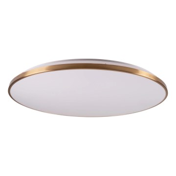 Prigušivo LED stropno svjetlo KERN LED/80W/230V 3000/4000/6000K promjer 80 cm zlatno + daljinski upravljač