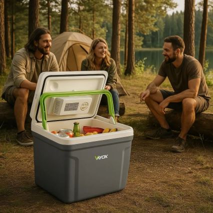 Prijenosni hladnjak s funkcijom grijanja 27 l 230V/12V/24V siva