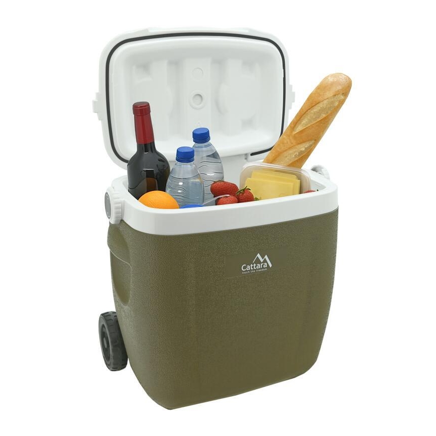 Prijenosni rashladni box 16 l, zelene boje