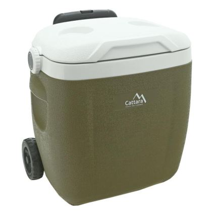 Prijenosni rashladni box 16 l, zelene boje
