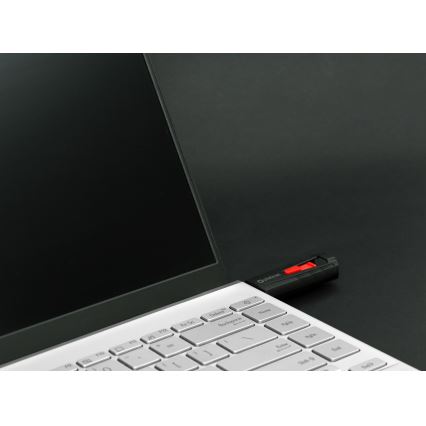 Prijenosni SSD disk 1 TB USB 3.2 Gen2