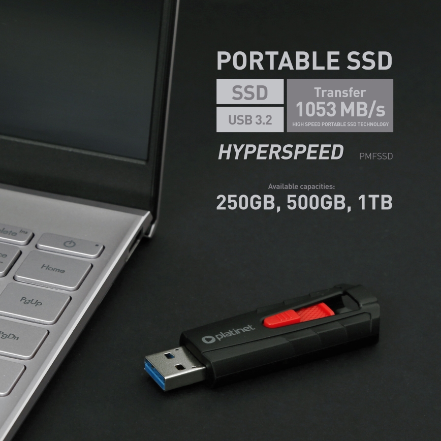Prijenosni SSD disk 250 GB USB 3.2 Gen2