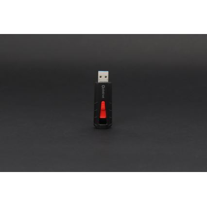 Prijenosni SSD disk 250 GB USB 3.2 Gen2