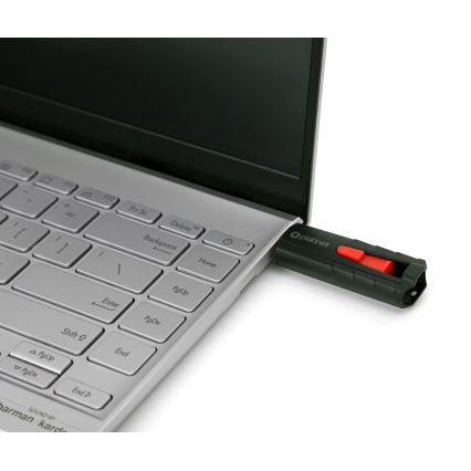 Prijenosni SSD disk 250 GB USB 3.2 Gen2