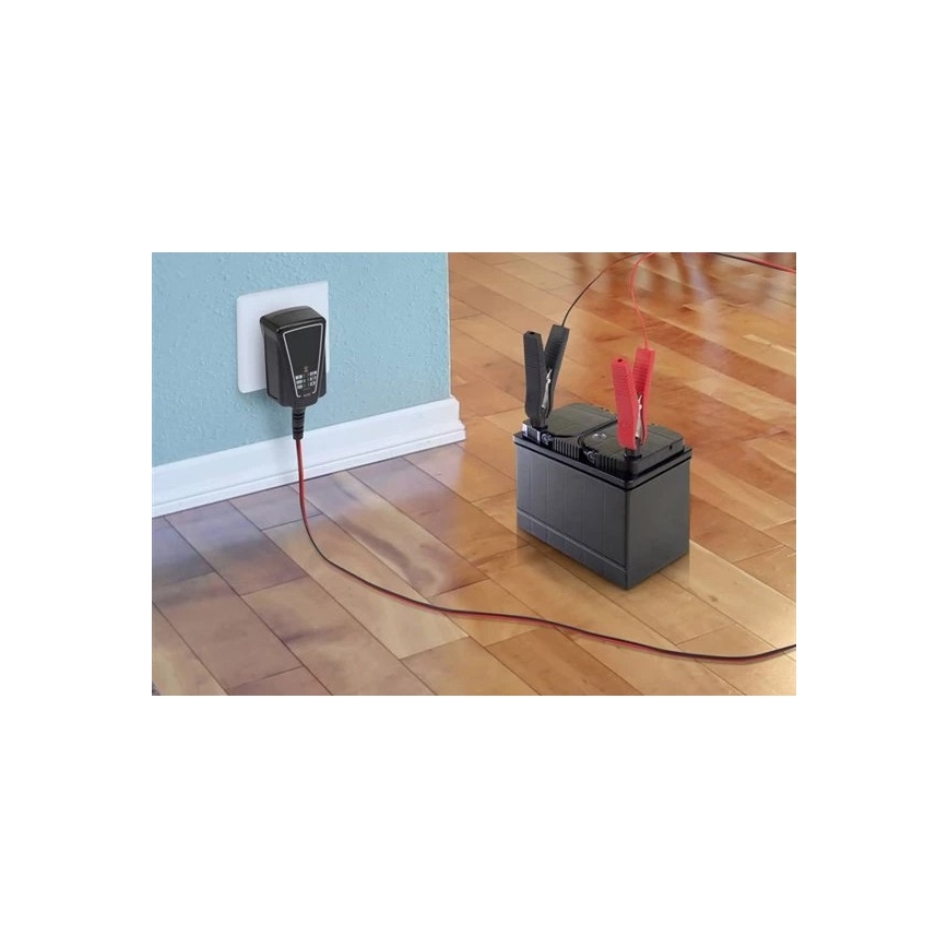 Punjač akumulatora 1A 230V