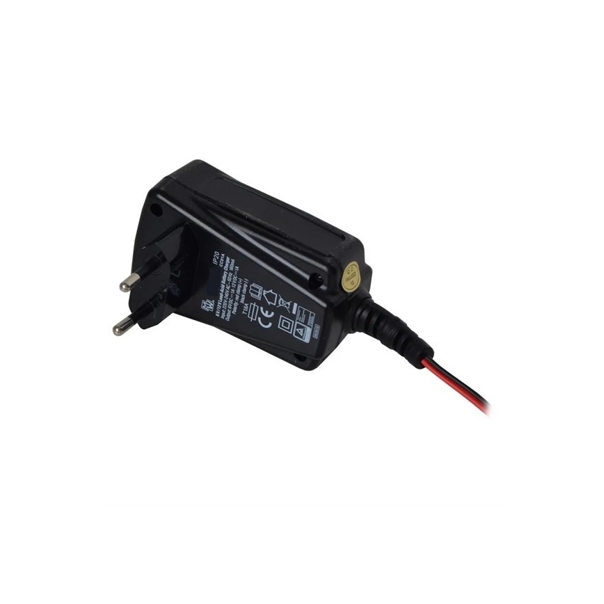 Punjač akumulatora 1A 230V