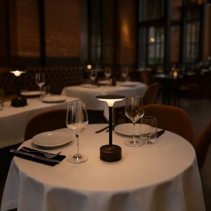 Punjiva LED stolna lampa s dodirnim upravljanjem TAVOLO LED/2,5W/5V 2400 mAh 3000-6000K crna