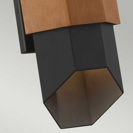 Quoizel - LED Vanjska zidna svjetiljka CHASM 2xLED/5,5W/230V IP44