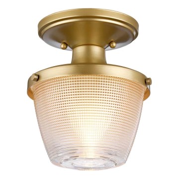 Quoizel - Stropna svjetiljka za kupaonicu DUBLIN 1xE27/40W/230V IP44 zlatna