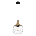 Quoizel - Viseći luster ROYER 1xE27/60W/230V pr. 30,2 cm prozirna/crna/bež