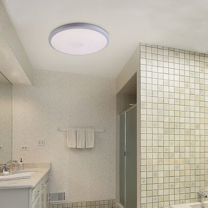 Rabalux - LED Stropna svjetiljka za kupaonicu LED/24W/230V IP65 pr. 31,5 cm