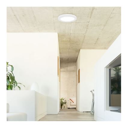 Rabalux - LED Stropna svjetiljka sa senzorom LED/18W/230V 4000K 22,5 cm