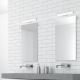 Rabalux - LED Rasvjeta za ogledalo u kupaonici LED/6W/230V 34cm