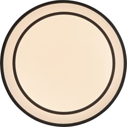 Rabalux - LED prigušivo stropno svjetlo LED/40W/230V 3000-6500K crno Ø 49 cm + daljinski upravljač