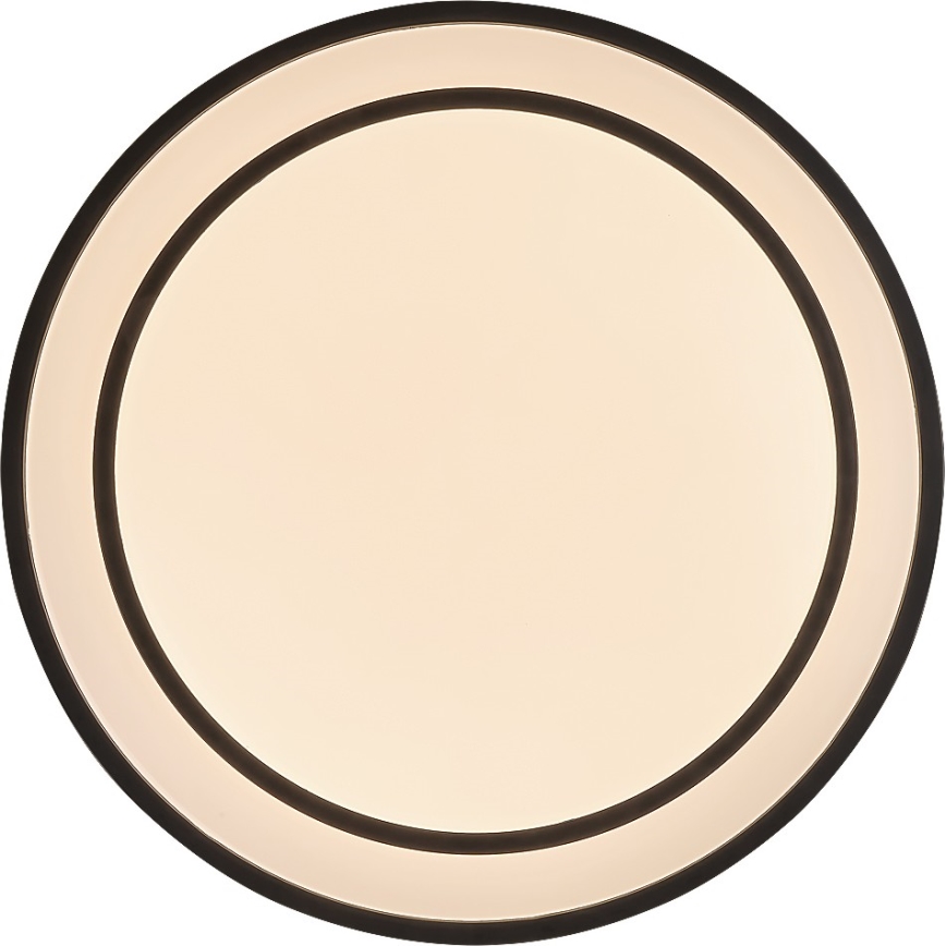 Rabalux - LED prigušivo stropno svjetlo LED/40W/230V 3000-6500K crno Ø 49 cm + daljinski upravljač