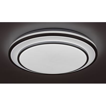 Rabalux - LED stropna svjetiljka s mogućnošću prigušivanja LED/40W/230V 3000-6500K srebrna Ø 49 cm + daljinski upravljač