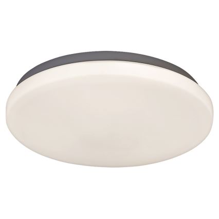 Rabalux - LED stropna svjetiljka LED/20W/230V, promjer 29 cm