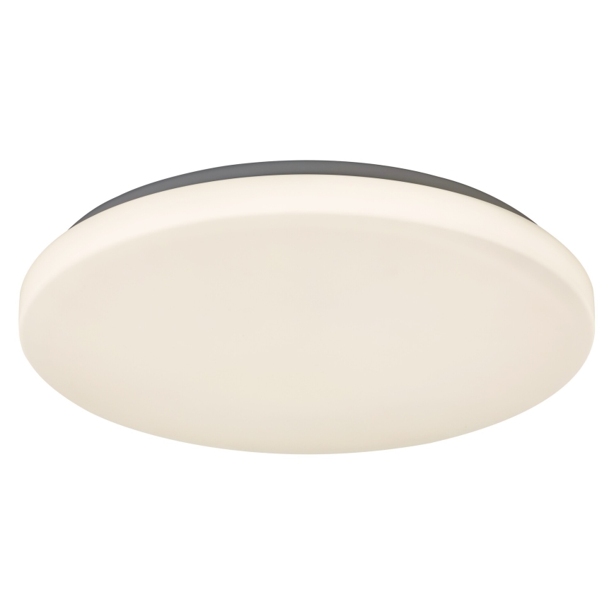 Rabalux - LED Stropna svjetiljka 1xLED/32W/230V