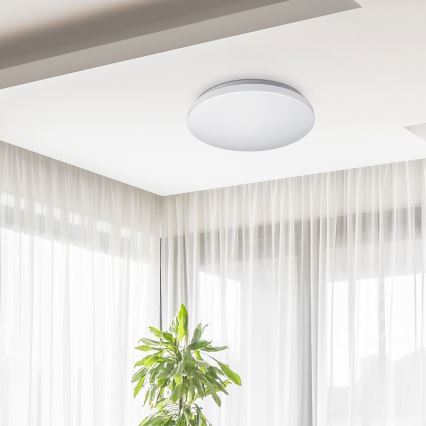 Rabalux - LED stropna svjetiljka LED/32W/230V pr. 38 cm