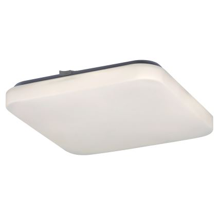 Rabalux - LED Stropna svjetiljka 1xLED/20W/230V 28x28 cm