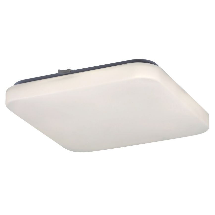 Rabalux - LED Stropna svjetiljka 1xLED/20W/230V 28x28 cm