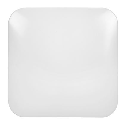 Rabalux - LED Stropna svjetiljka LED/20W/230V 28x28 cm