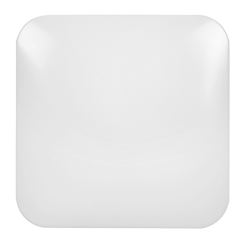 Rabalux - LED Stropna svjetiljka LED/20W/230V 28x28 cm