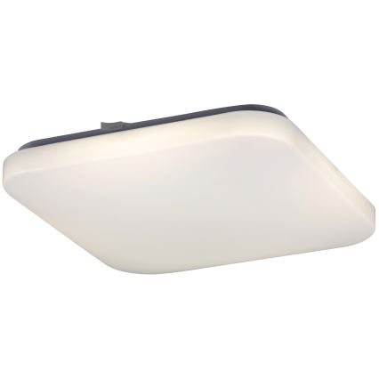 Rabalux - LED stropno svjetlo LED/32W/230V 32x32 cm