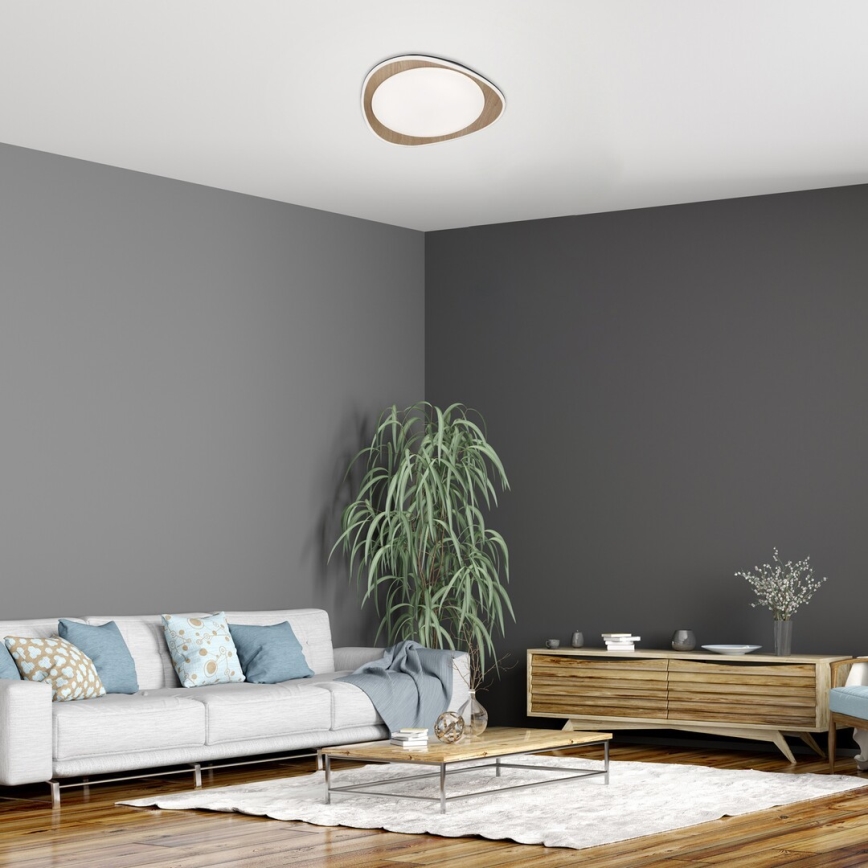 Rabalux - LED Stropna svjetiljka LED/24W/230V