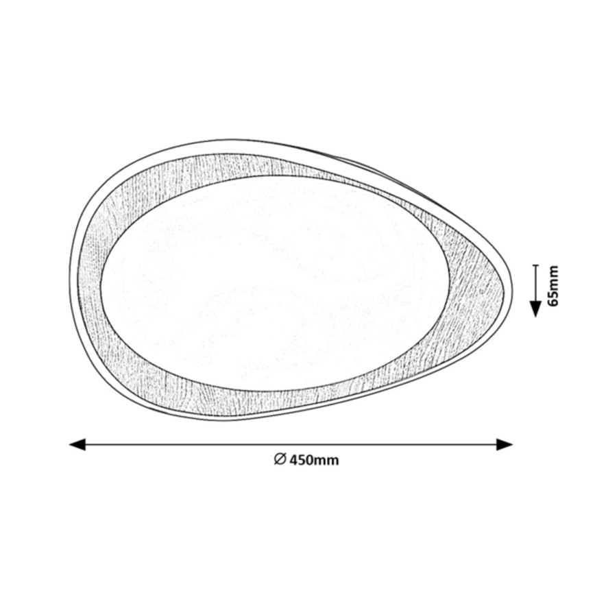 Rabalux - LED Stropna svjetiljka LED/24W/230V