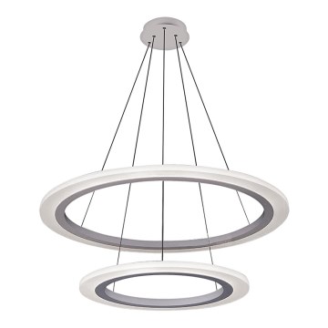 Rabalux 2429 - LED Luster ADRIENNE LED/62W/230V srebrna