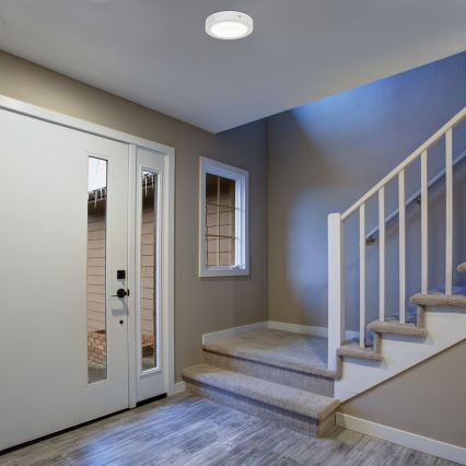 Rabalux - LED Stropna svjetiljka LED/12W/230V