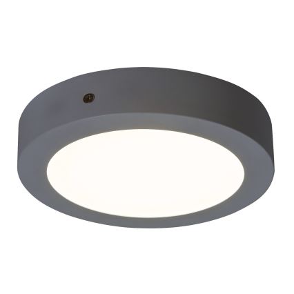 Rabalux - LED Stropna svjetiljka LED/12W/230V