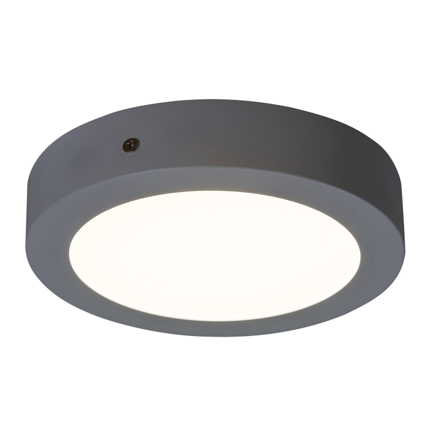Rabalux - LED Stropna svjetiljka LED/12W/230V