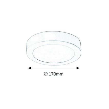 Rabalux - LED Stropna svjetiljka LED/12W/230V