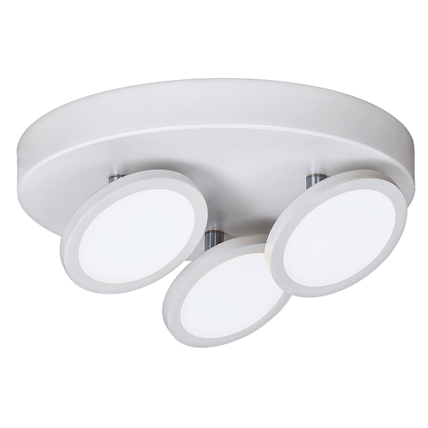 Rabalux - LED Stropna svjetiljka 3xLED/6W/230V bijela