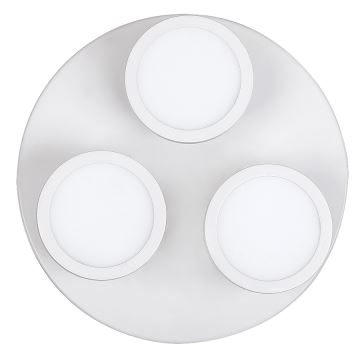 Rabalux - LED Stropna svjetiljka 3xLED/6W/230V bijela