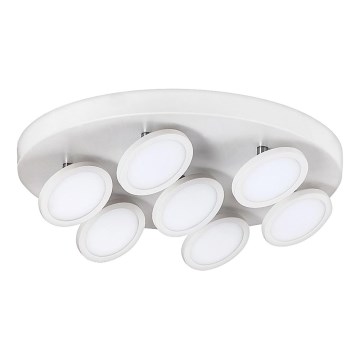 Rabalux 2715 - LED Stropna svjetiljka ELSA 7xLED/6W/230V bijela