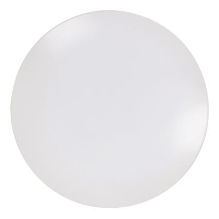 Rabalux - LED Stropna svjetiljka 1xLED/18W/230V