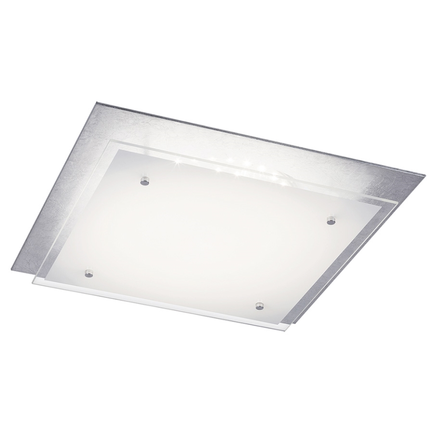 Rabalux - LED Stropna svjetiljka 1xLED/24W/230V