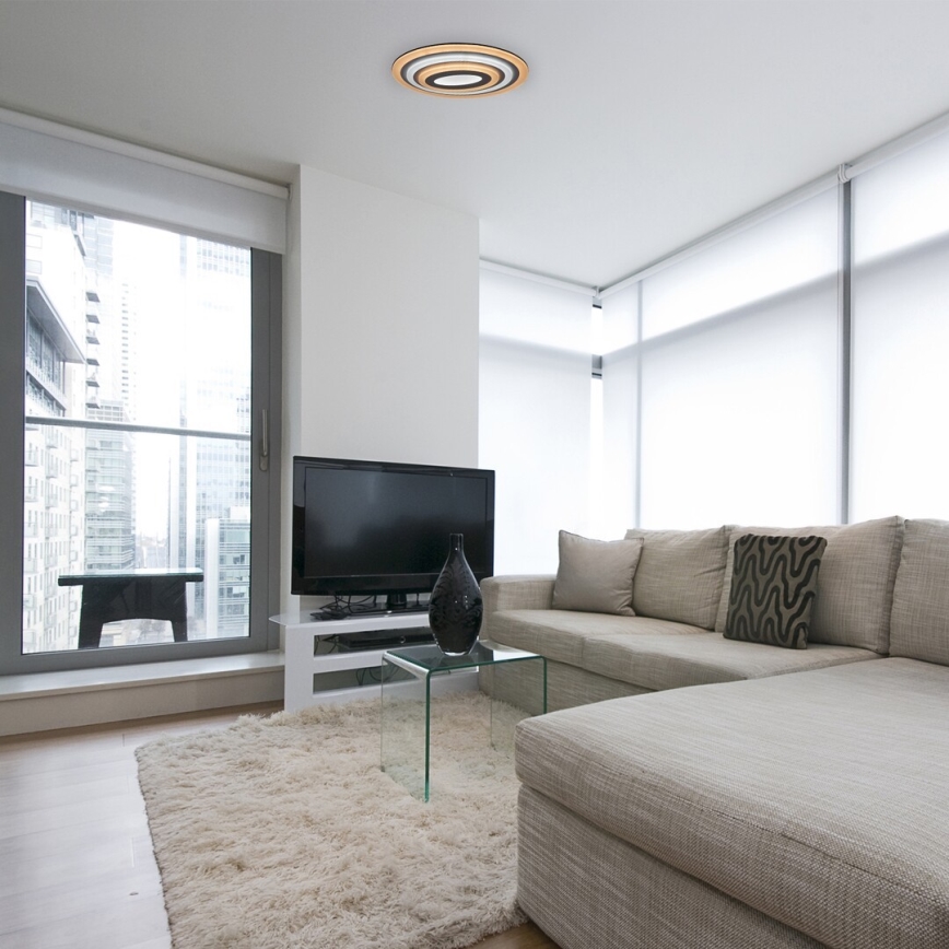 Rabalux - Prigušiva LED stropna svjetiljka LED/41W/230V + daljinski upravljač Ø 53 cm