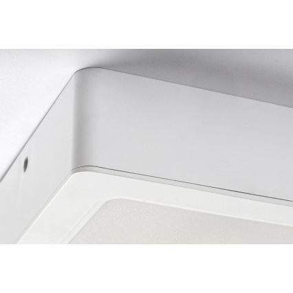 Rabalux - LED Stropna svjetiljka LED/12W/230V 14,5x14,5 cm
