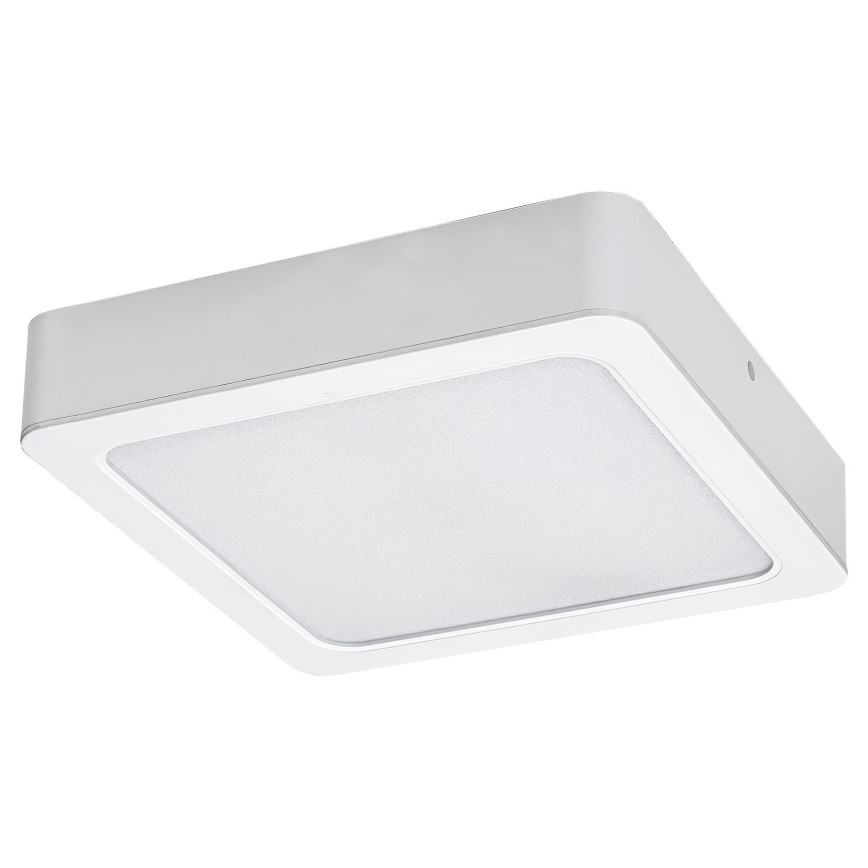 Rabalux - LED Stropna svjetiljka LED/18W/230V 17 cm