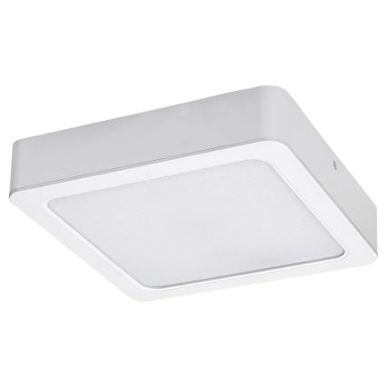 Rabalux - LED stropna svjetiljka LED/24W/230V 22x22 cm